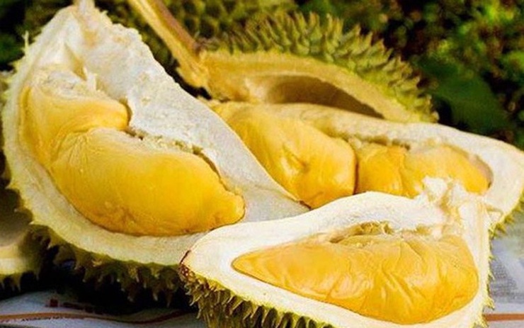 HƯƠNG SẦU RIÊNG