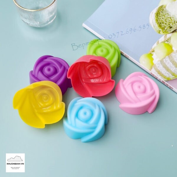 SET KHUÔN HOA SILICON